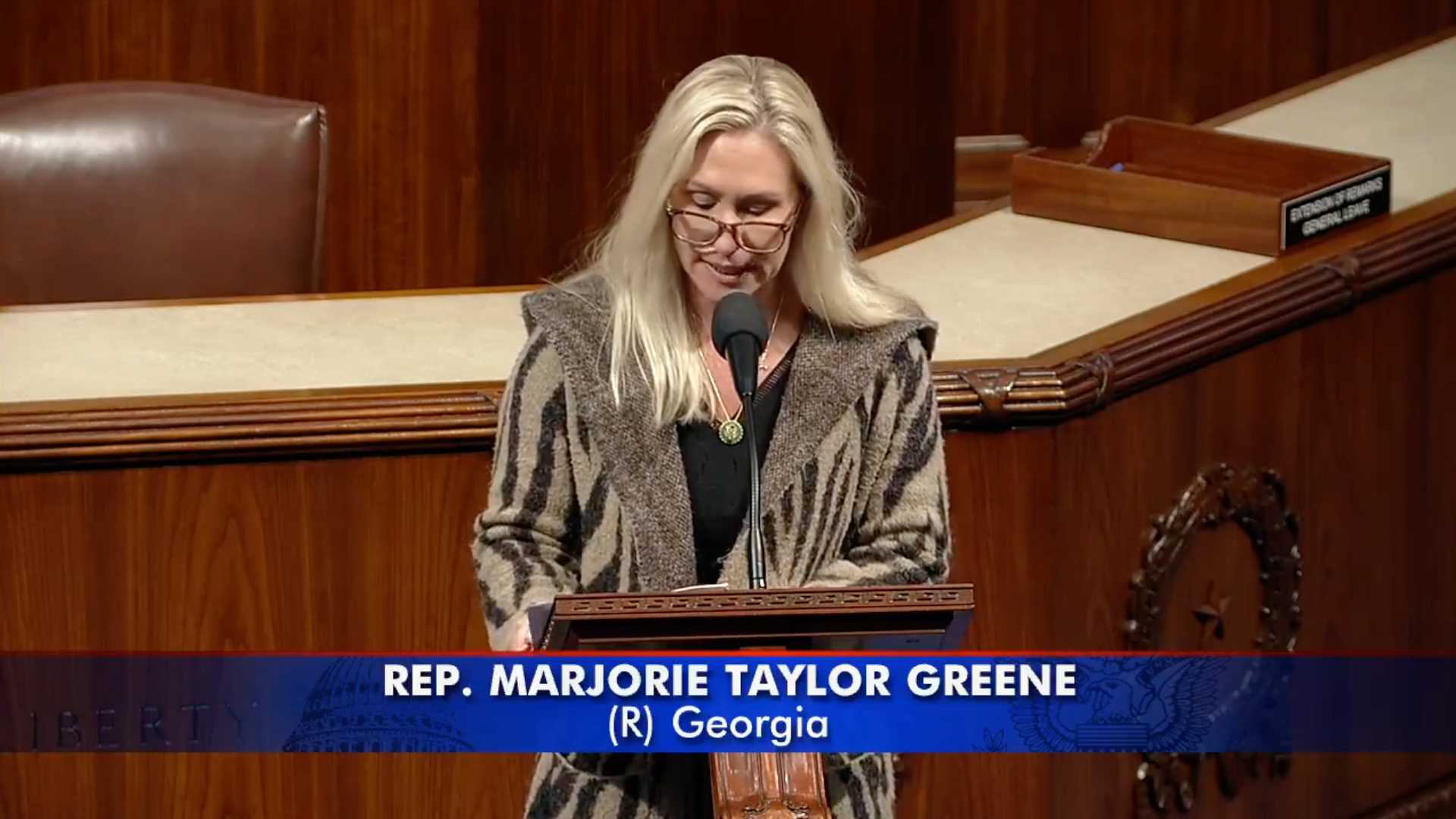 Mayorkas Impeachment Floor Speech