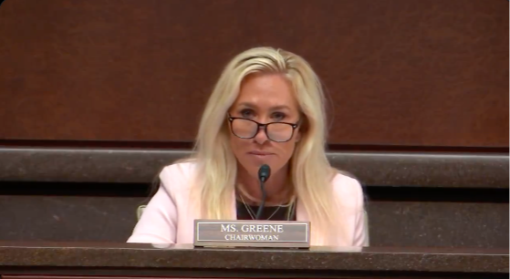 DOGE Subcommittee Hearing