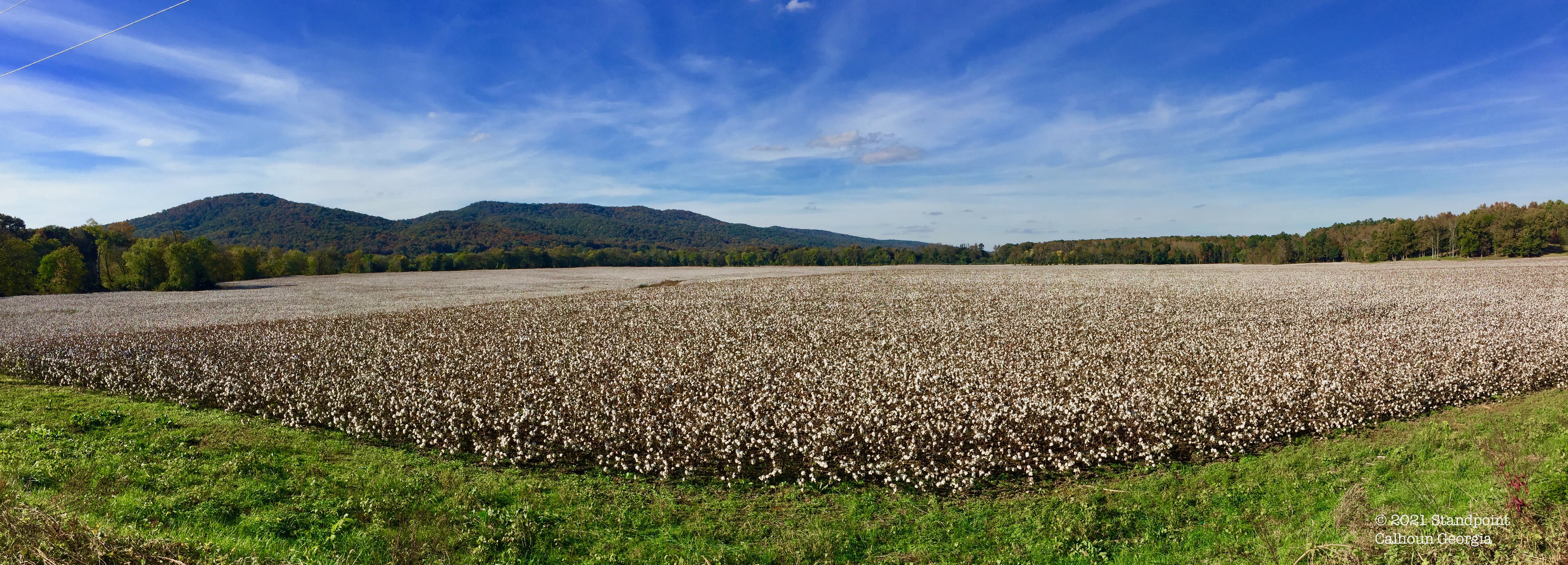 Oostanaula River Bottoms, Gordon County, Georgia