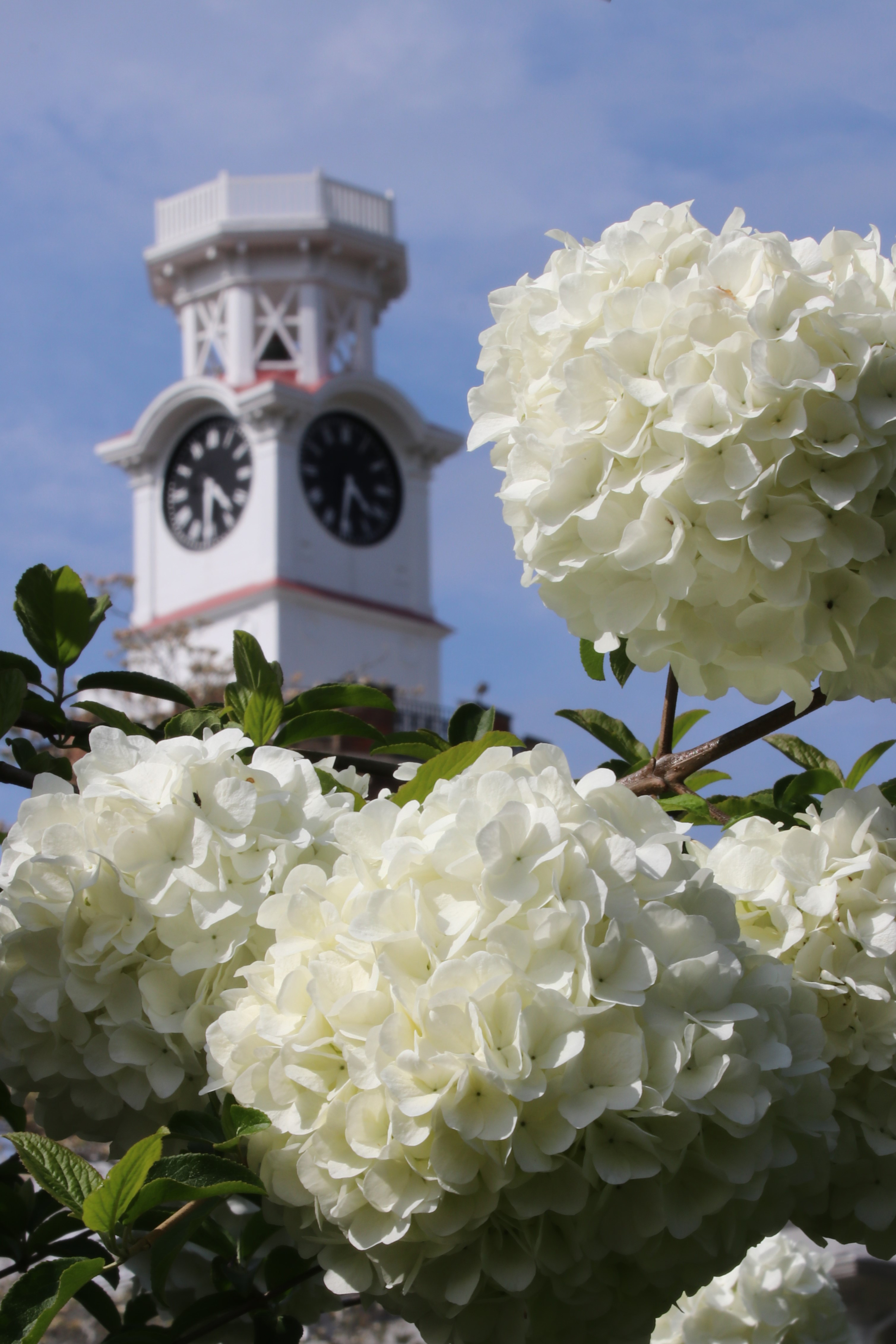 Clock Tower