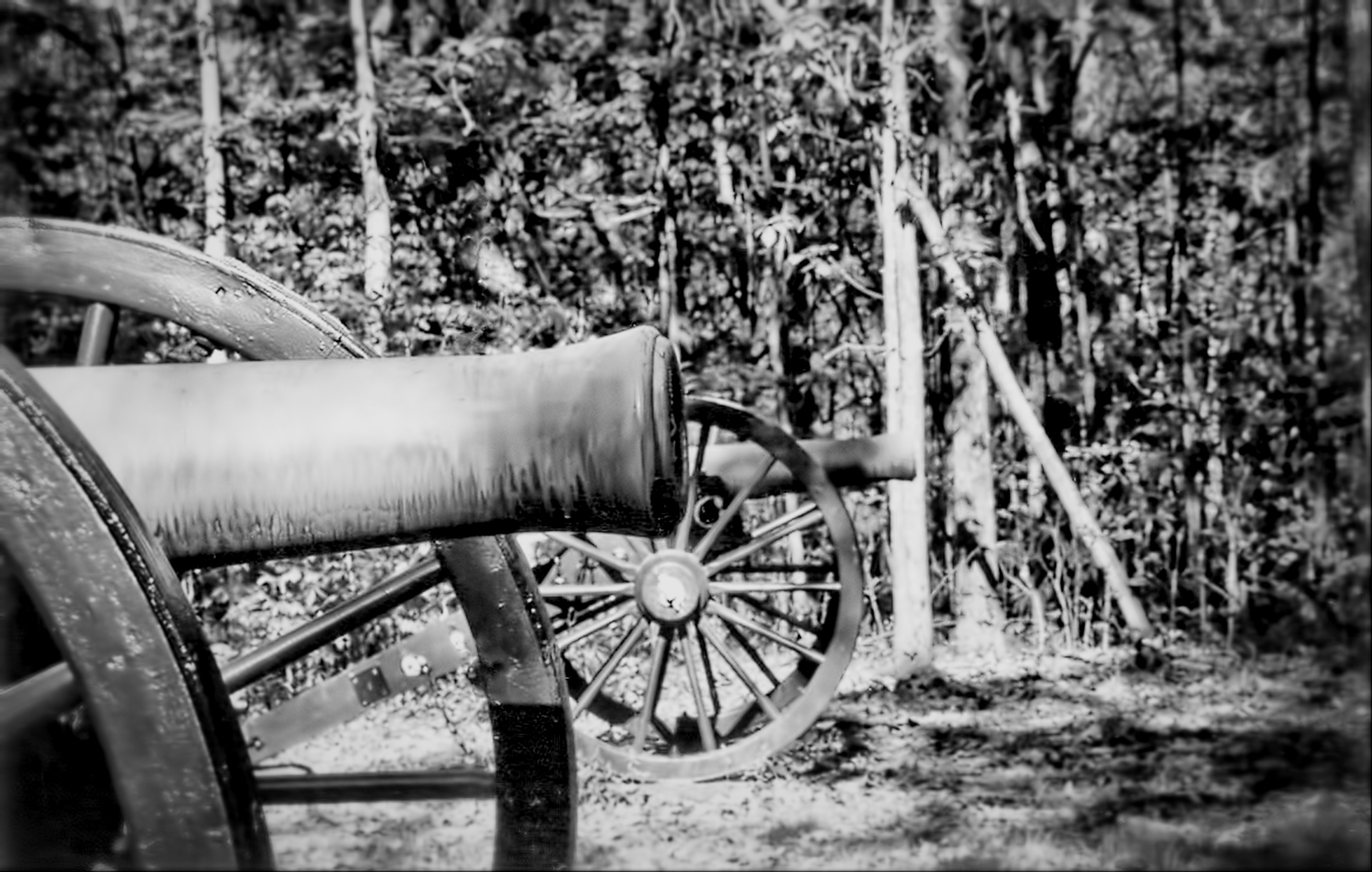 Catoosa County Cannon